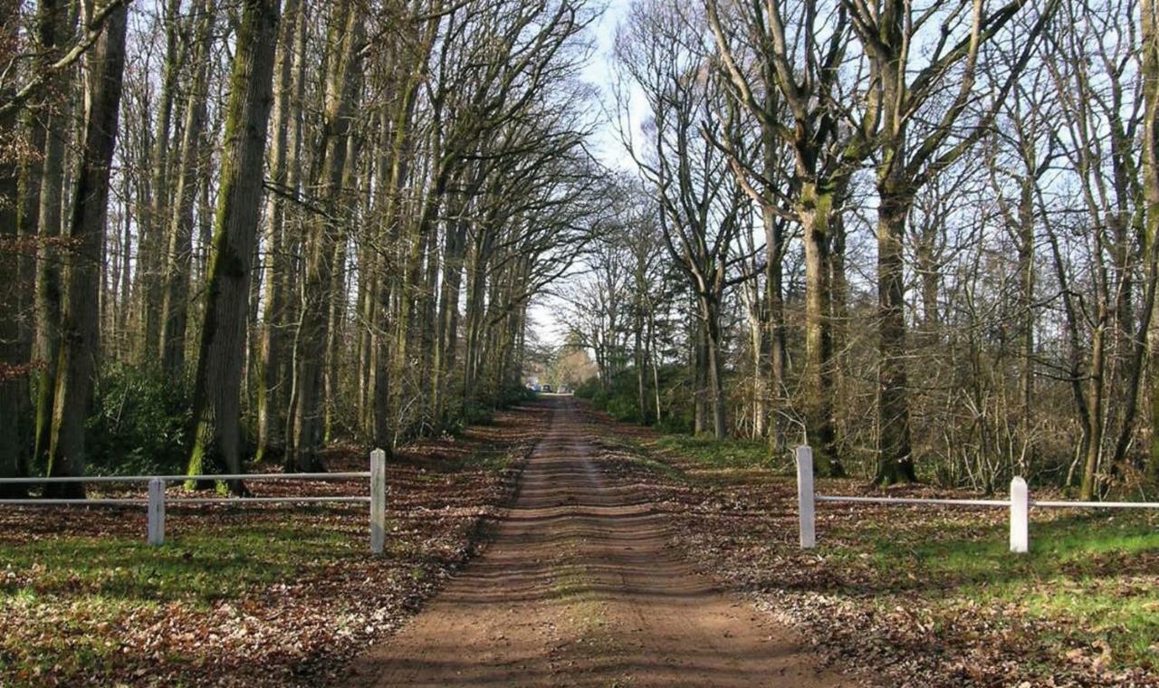Domaine De La Haute-Porte Souvigné-sur-Sarthe Exterior foto